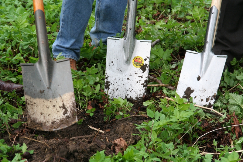 pepiniere-CUERS-min_work-lawn-flower-tool-green-backyard-1103633-pxhere.com